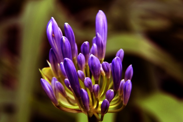 劲的金州勇 劲的金州勇