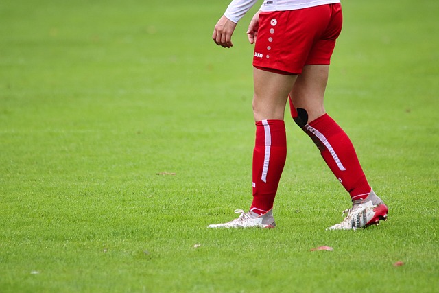 職業生涯的 職業生涯的