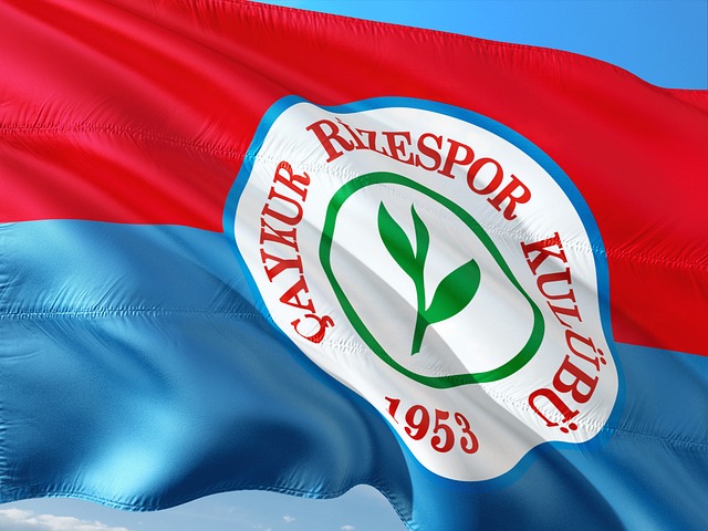 居历史榜首 居历史榜首