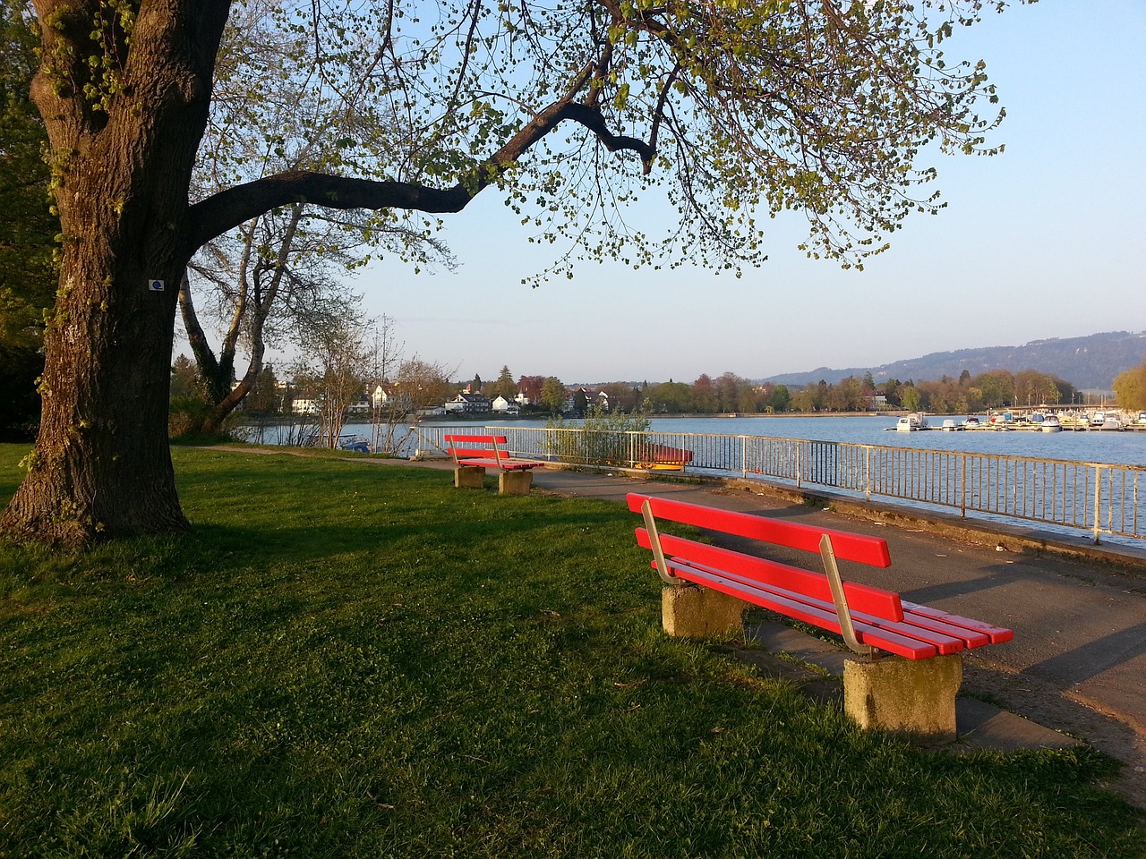 牙的奪冠之 牙的奪冠之