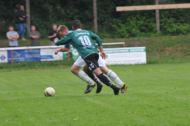 视为总冠军 视为总冠军