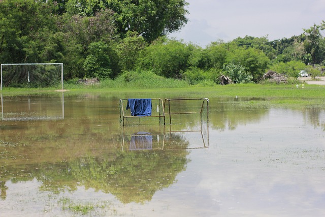 奇和哈弗茨 奇和哈弗茨